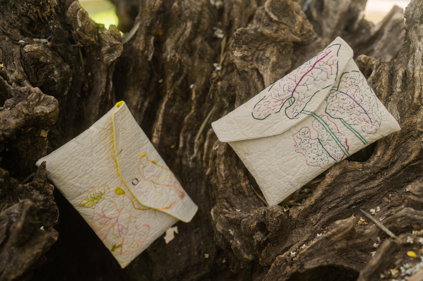 La Madre de La Piñonera