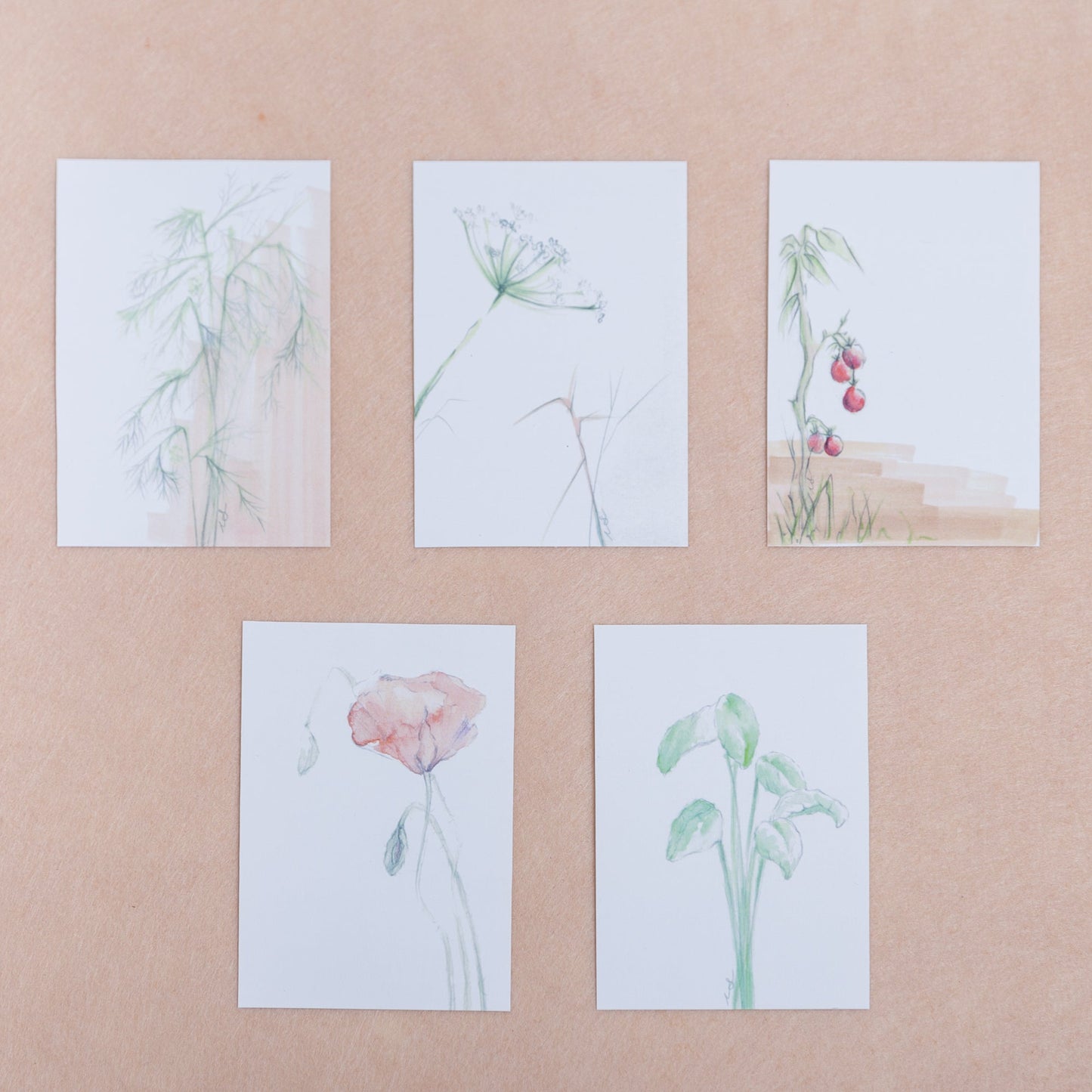 Piñonera Beige - Oportunidad