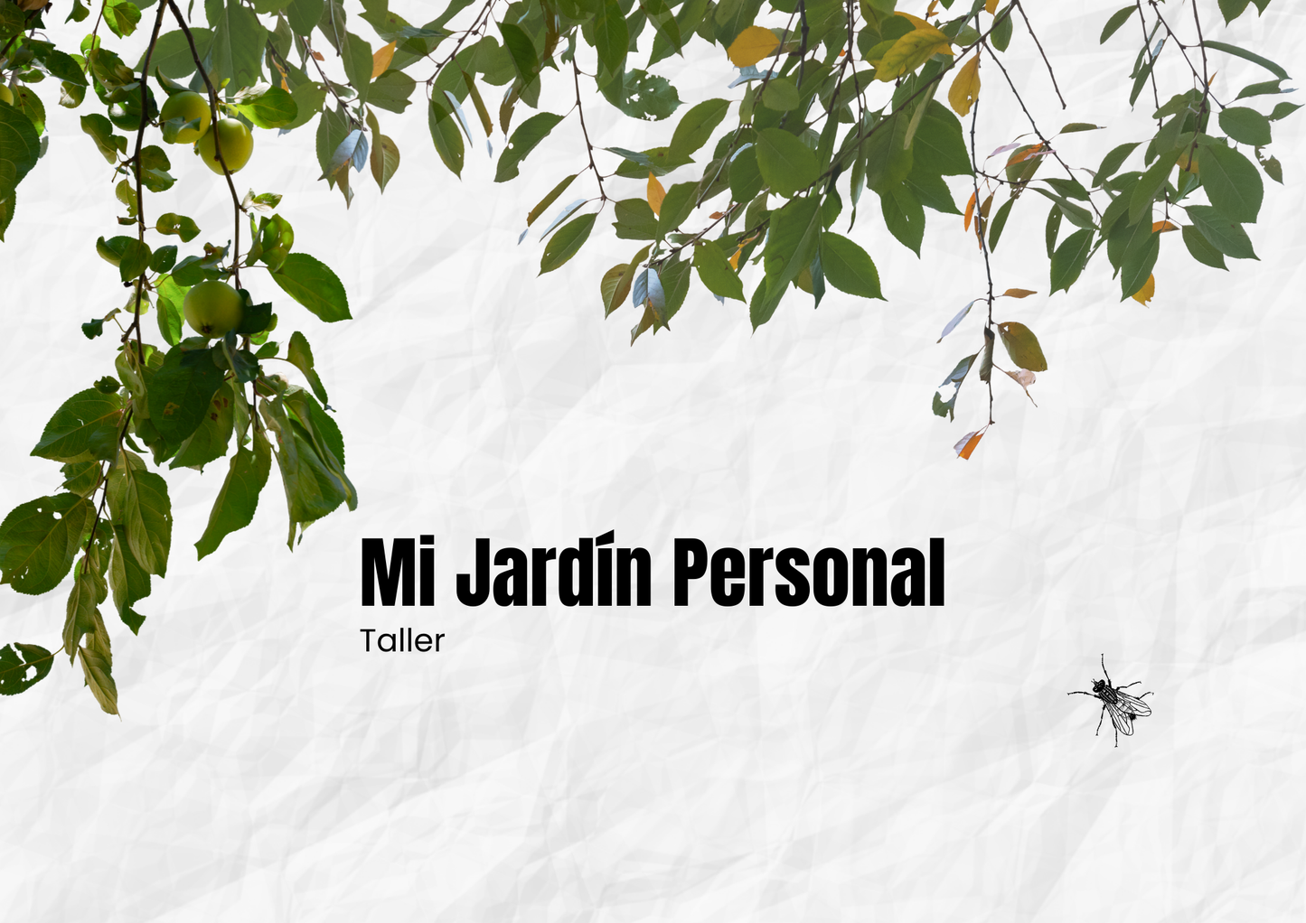 Mi Jardín Personal